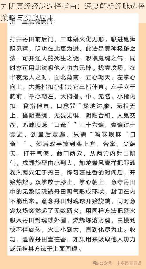 九阴真经经脉选择指南：深度解析经脉选择策略与实战应用