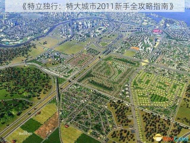 《特立独行：特大城市2011新手全攻略指南》