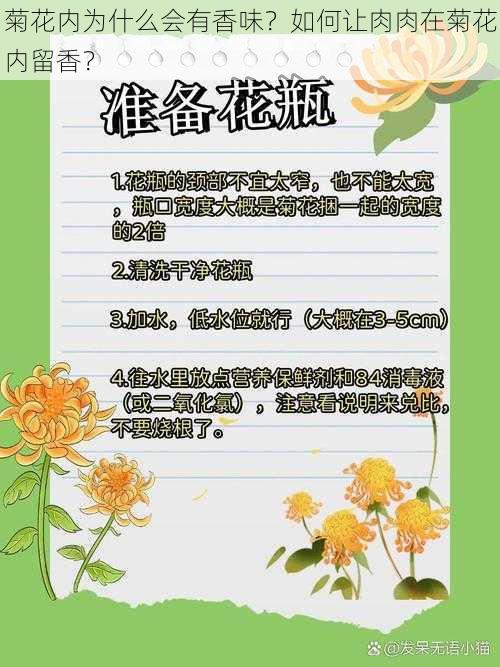 菊花内为什么会有香味？如何让肉肉在菊花内留香？