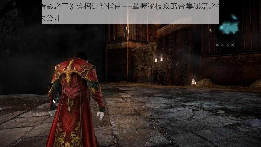 《恶魔城：暗影之王》连招进阶指南——掌握秘技攻略合集秘籍之快速升级和实战操作秘籍大公开