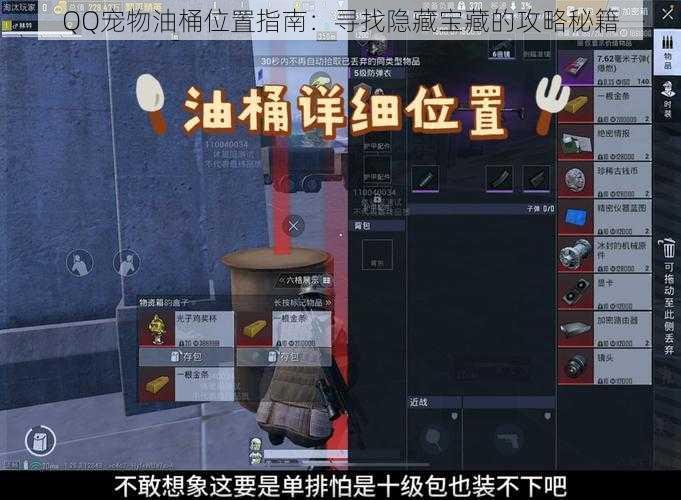 QQ宠物油桶位置指南：寻找隐藏宝藏的攻略秘籍