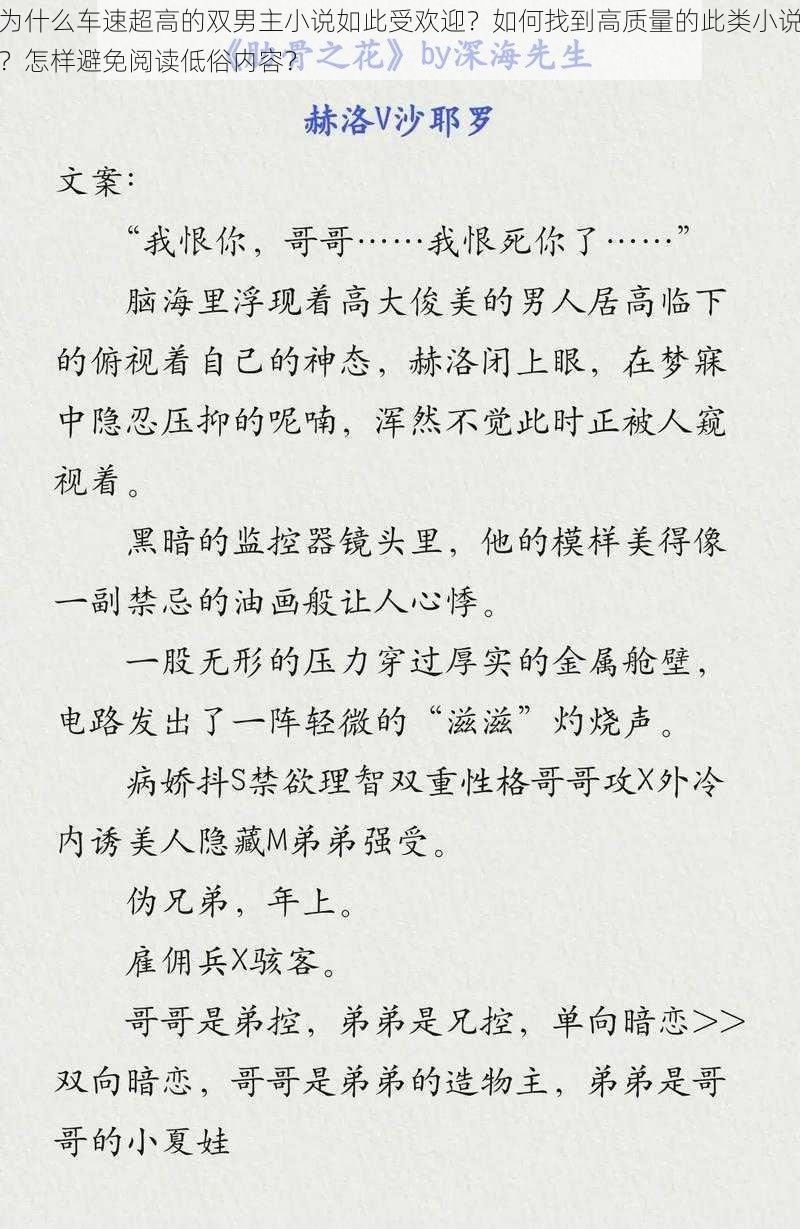 为什么车速超高的双男主小说如此受欢迎？如何找到高质量的此类小说？怎样避免阅读低俗内容？