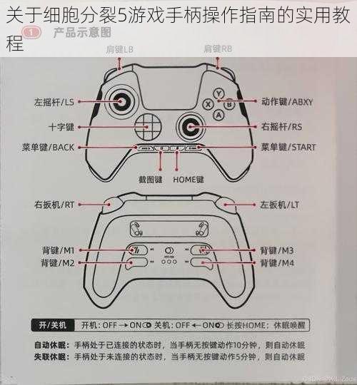 关于细胞分裂5游戏手柄操作指南的实用教程