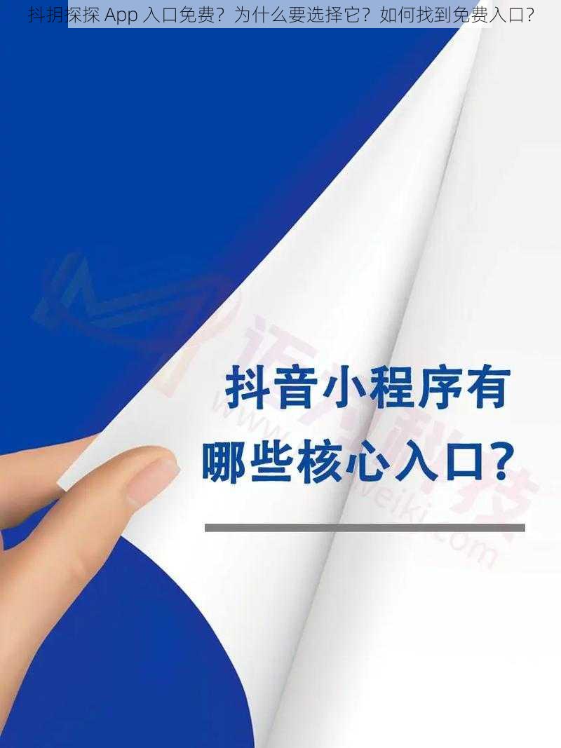 抖抈探探 App 入口免费？为什么要选择它？如何找到免费入口？