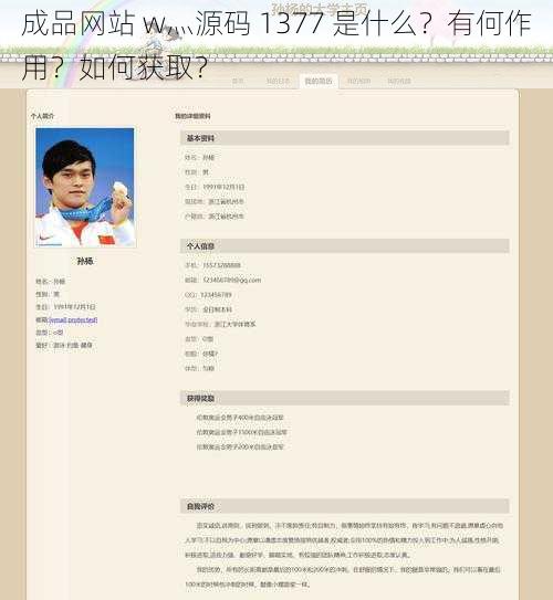 成品网站 w灬源码 1377 是什么？有何作用？如何获取？