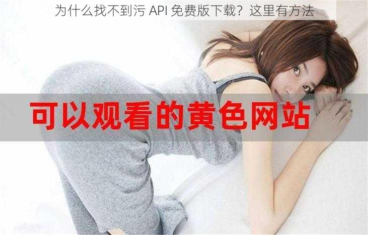 为什么找不到污 API 免费版下载？这里有方法