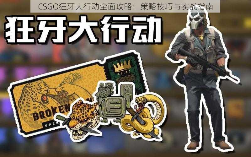 CSGO狂牙大行动全面攻略：策略技巧与实战指南