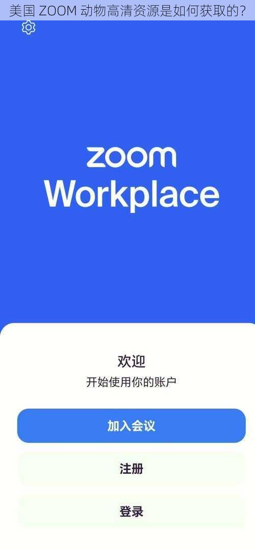 美国 ZOOM 动物高清资源是如何获取的？