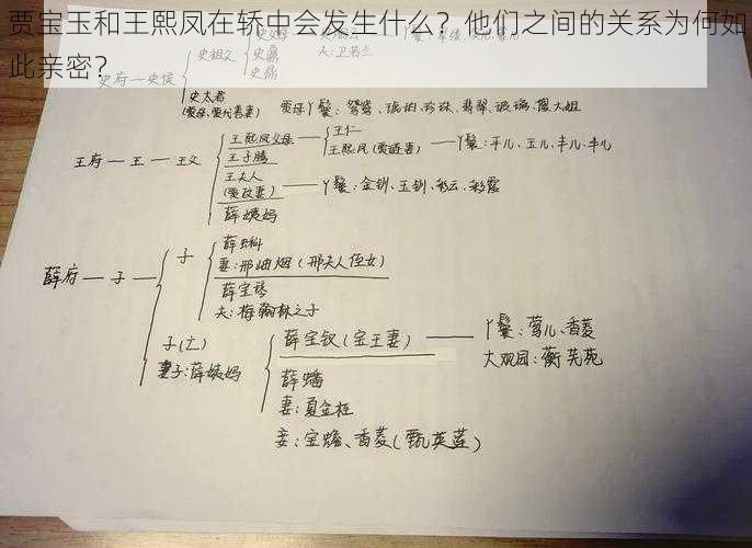 贾宝玉和王熙凤在轿中会发生什么？他们之间的关系为何如此亲密？