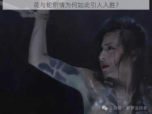 花与蛇剧情为何如此引人入胜？