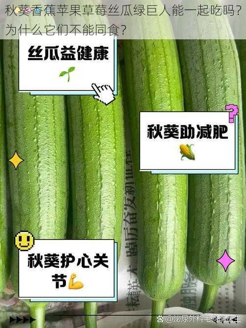 秋葵香蕉苹果草莓丝瓜绿巨人能一起吃吗？为什么它们不能同食？