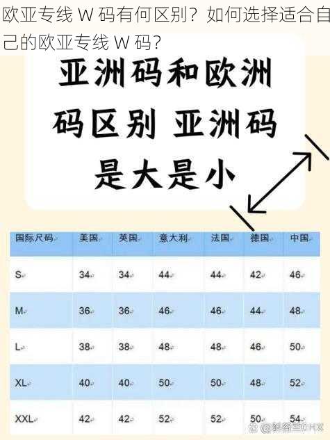 欧亚专线 W 码有何区别？如何选择适合自己的欧亚专线 W 码？