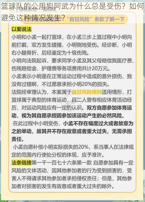 篮球队的公用狗阿武为什么总是受伤？如何避免这种情况发生？