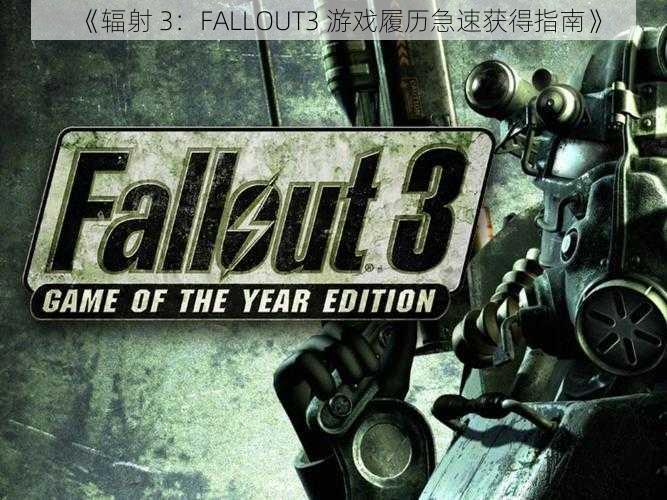 《辐射 3：FALLOUT3 游戏履历急速获得指南》