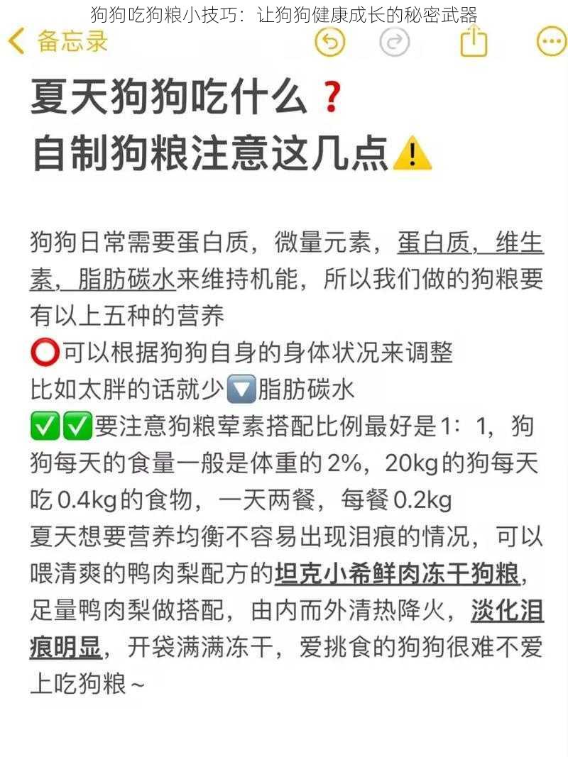 狗狗吃狗粮小技巧：让狗狗健康成长的秘密武器