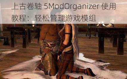 上古卷轴 5ModOrganizer 使用教程：轻松管理游戏模组