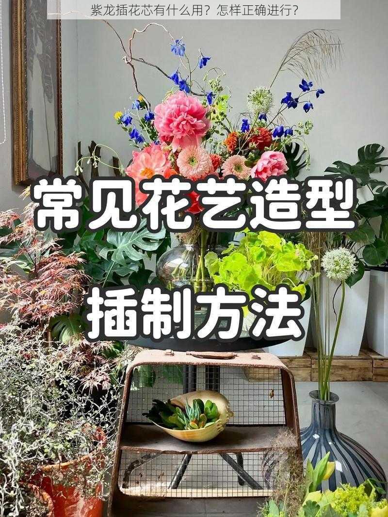 紫龙插花芯有什么用？怎样正确进行？