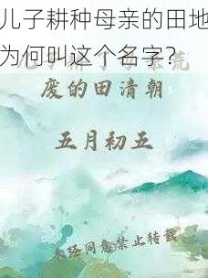 儿子耕种母亲的田地为何叫这个名字？