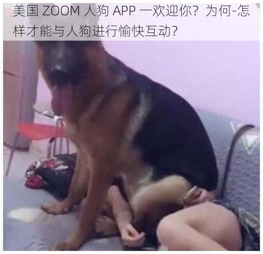 美国 ZOOM 人狗 APP 一欢迎你？为何-怎样才能与人狗进行愉快互动？