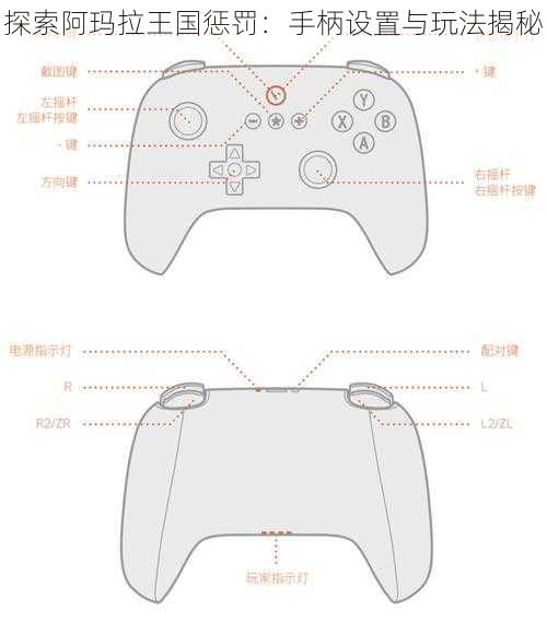 探索阿玛拉王国惩罚：手柄设置与玩法揭秘