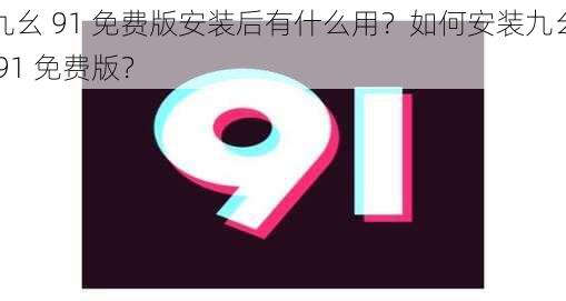 九幺 91 免费版安装后有什么用？如何安装九幺 91 免费版？