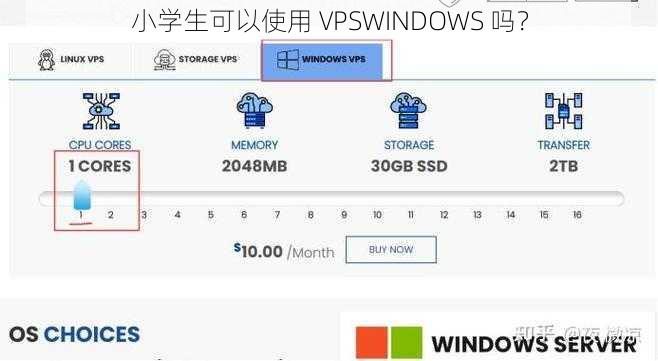 小学生可以使用 VPSWINDOWS 吗？