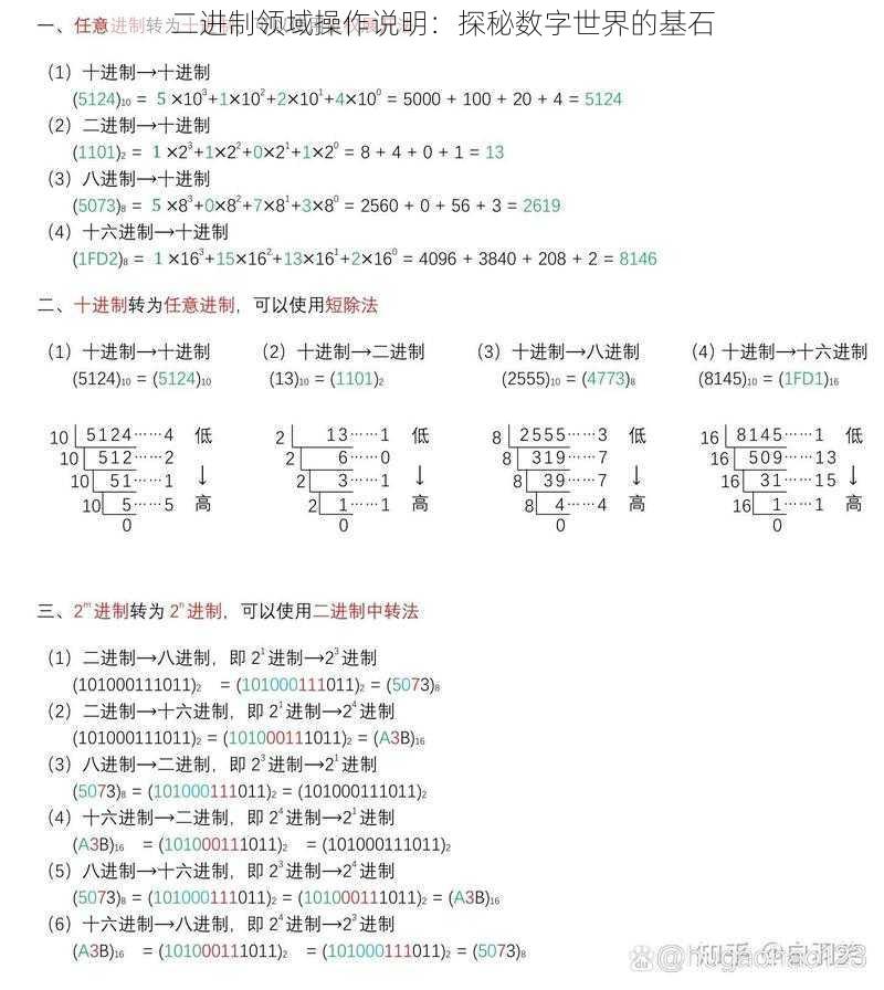 二进制领域操作说明：探秘数字世界的基石