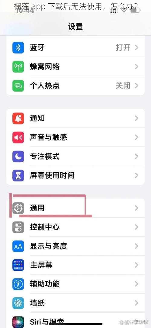 榴莲 app 下载后无法使用，怎么办？