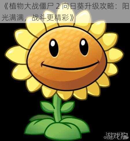 《植物大战僵尸 2 向日葵升级攻略：阳光满满，战斗更精彩》