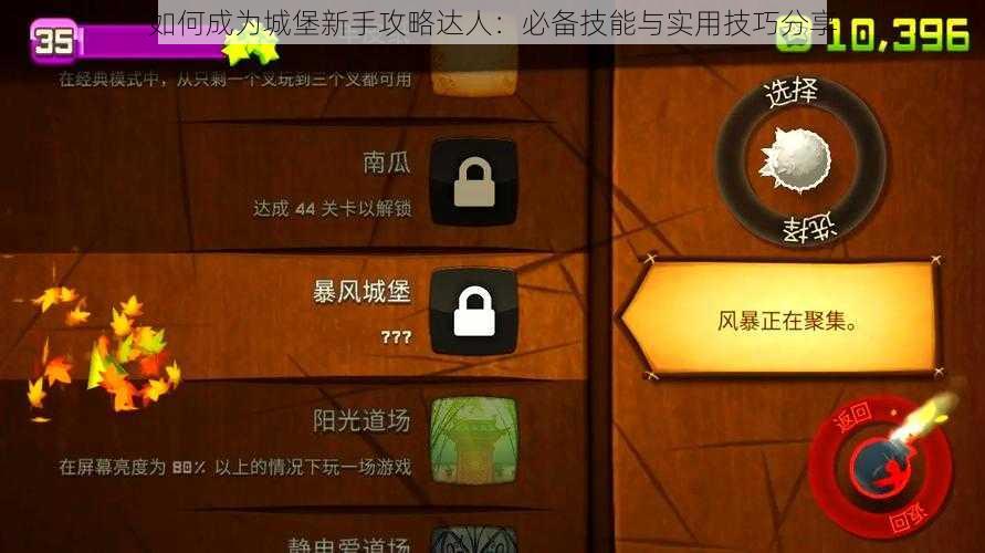 如何成为城堡新手攻略达人：必备技能与实用技巧分享