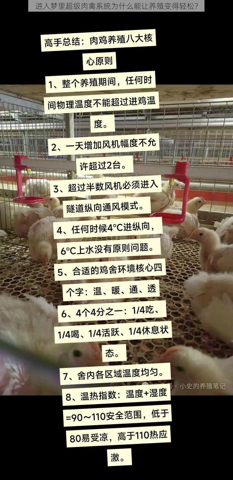 进入梦里超级肉禽系统为什么能让养殖变得轻松？