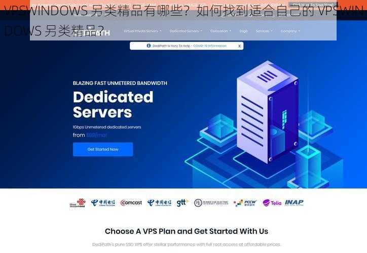 VPSWINDOWS 另类精品有哪些？如何找到适合自己的 VPSWINDOWS 另类精品？