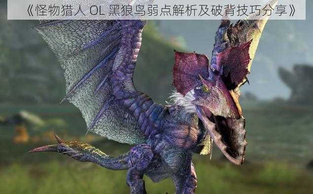 《怪物猎人 OL 黑狼鸟弱点解析及破背技巧分享》