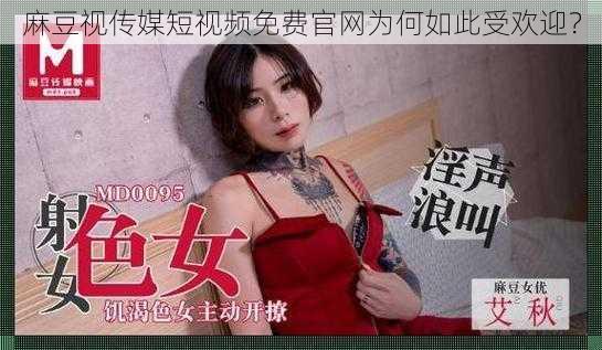 麻豆视传媒短视频免费官网为何如此受欢迎？