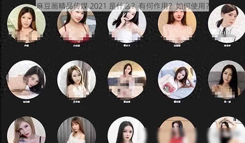 麻豆画精品传媒 2021 是什么？有何作用？如何使用？