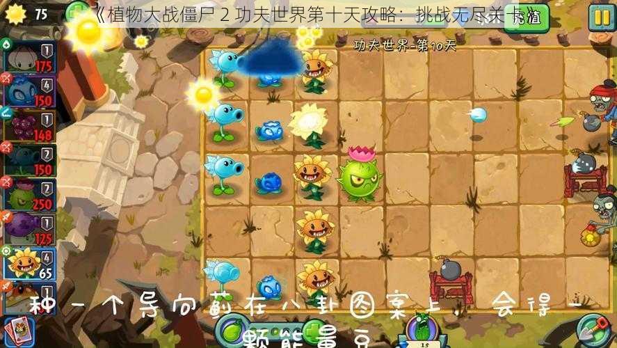 《植物大战僵尸 2 功夫世界第十天攻略：挑战无尽关卡》