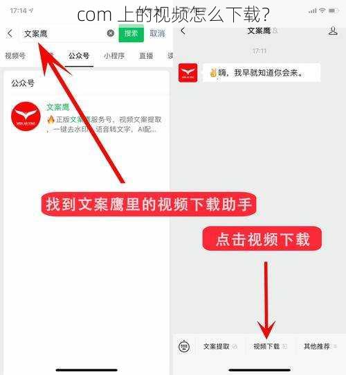 com 上的视频怎么下载？