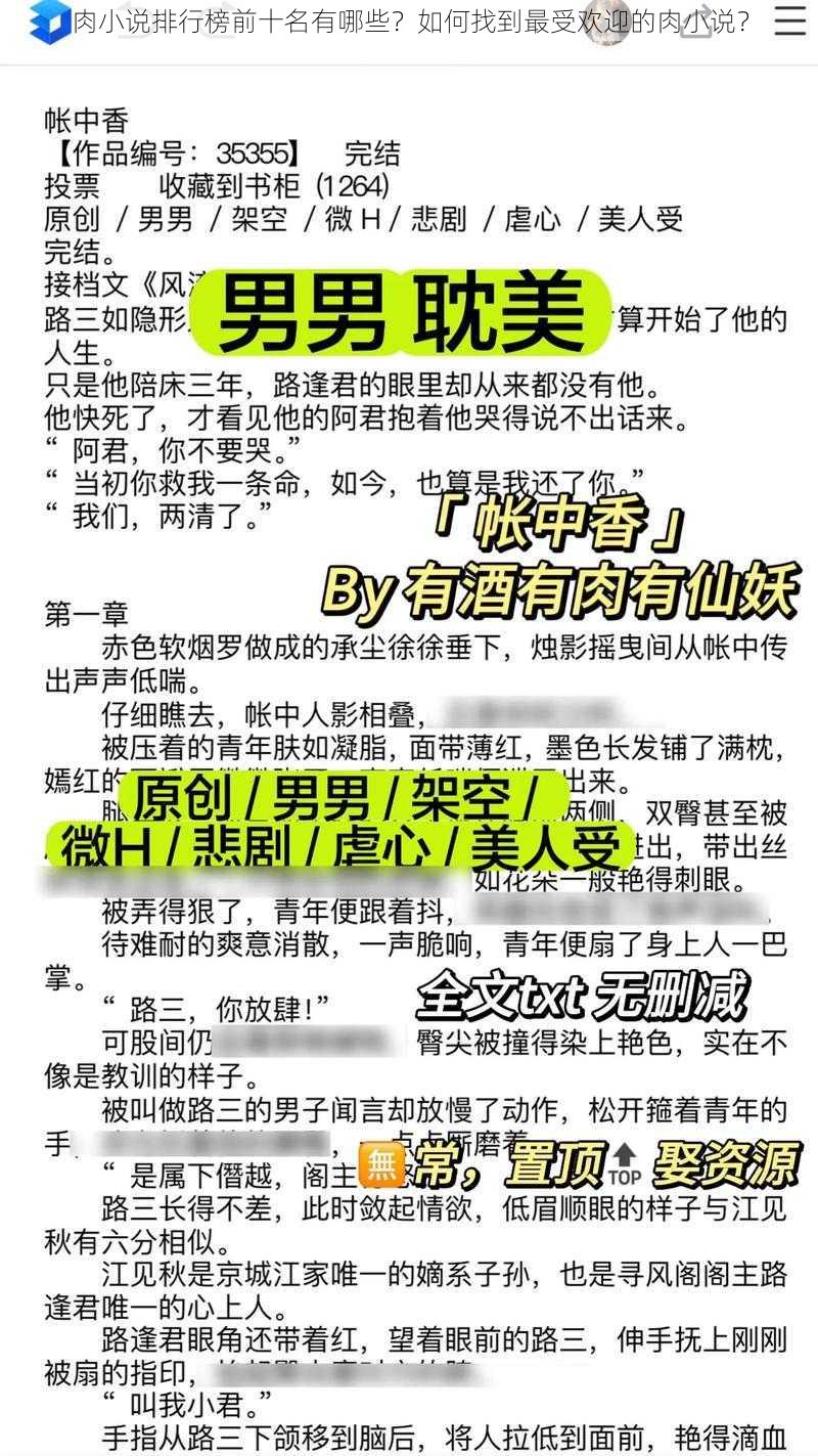 肉小说排行榜前十名有哪些？如何找到最受欢迎的肉小说？