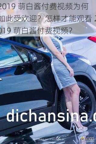 2019 萌白酱付费视频为何如此受欢迎？怎样才能观看 2019 萌白酱付费视频？