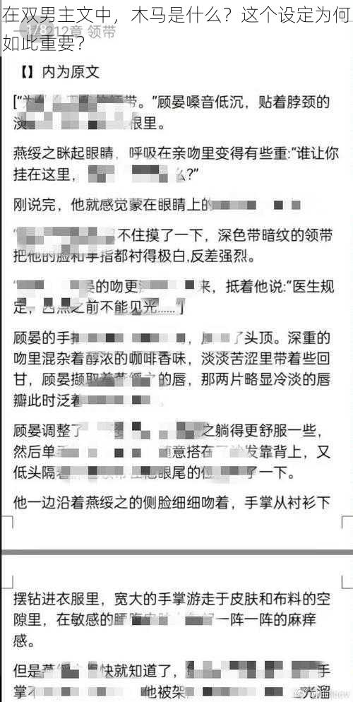 在双男主文中，木马是什么？这个设定为何如此重要？