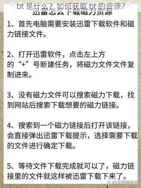 bt 是什么？如何获取 bt 的资源？