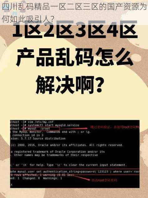 四川乱码精品一区二区三区的国产资源为何如此吸引人？