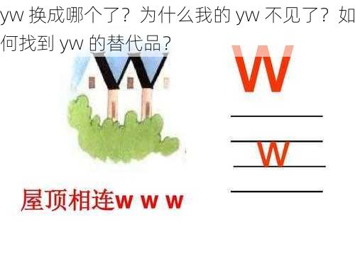 yw 换成哪个了？为什么我的 yw 不见了？如何找到 yw 的替代品？