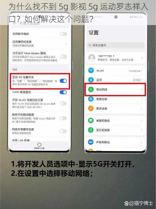 为什么找不到 5g 影视 5g 运动罗志祥入口？如何解决这个问题？