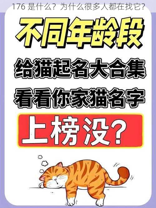 176 是什么？为什么很多人都在找它？