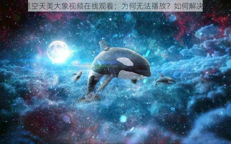 星空天美大象视频在线观看：为何无法播放？如何解决？