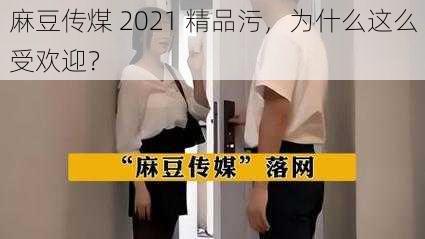 麻豆传煤 2021 精品污，为什么这么受欢迎？