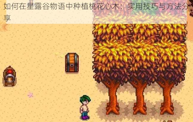 如何在星露谷物语中种植桃花心木：实用技巧与方法分享