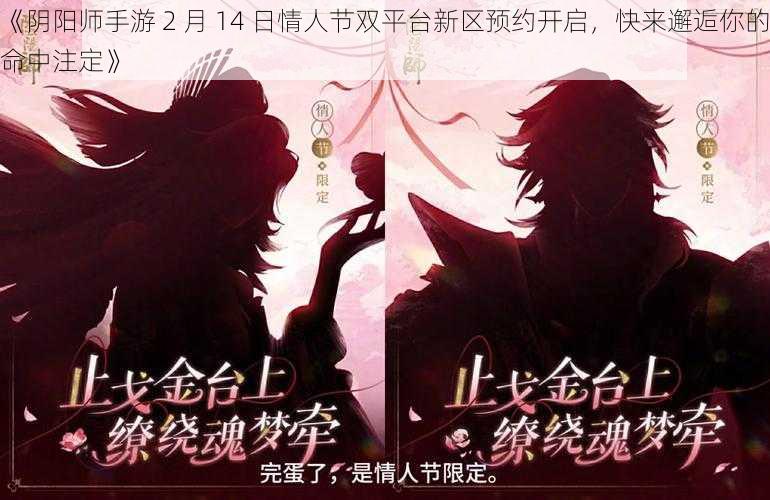 《阴阳师手游 2 月 14 日情人节双平台新区预约开启，快来邂逅你的命中注定》