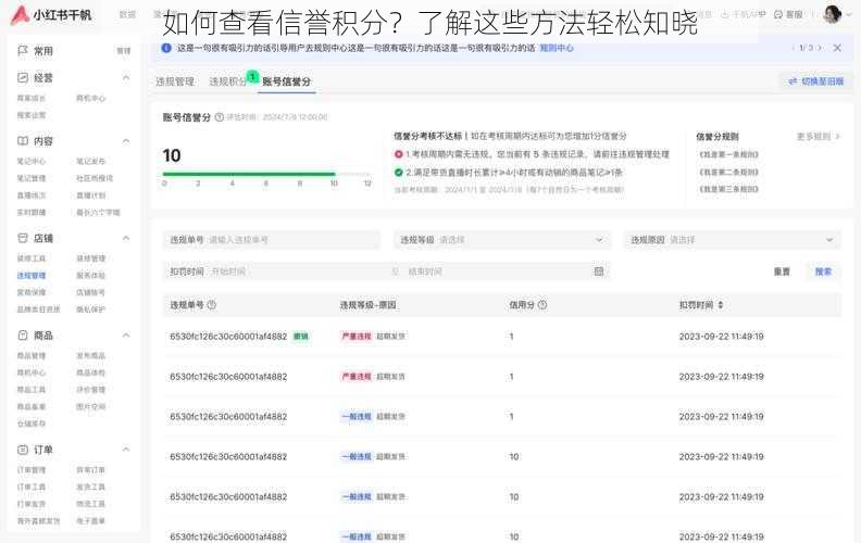 如何查看信誉积分？了解这些方法轻松知晓